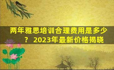 两年雅思培训合理费用是多少？ 2023年最新价格揭晓